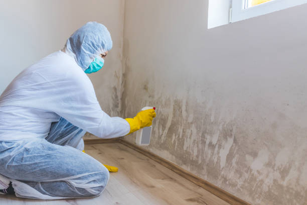 Mold Remediation specialist working in Delray Beach